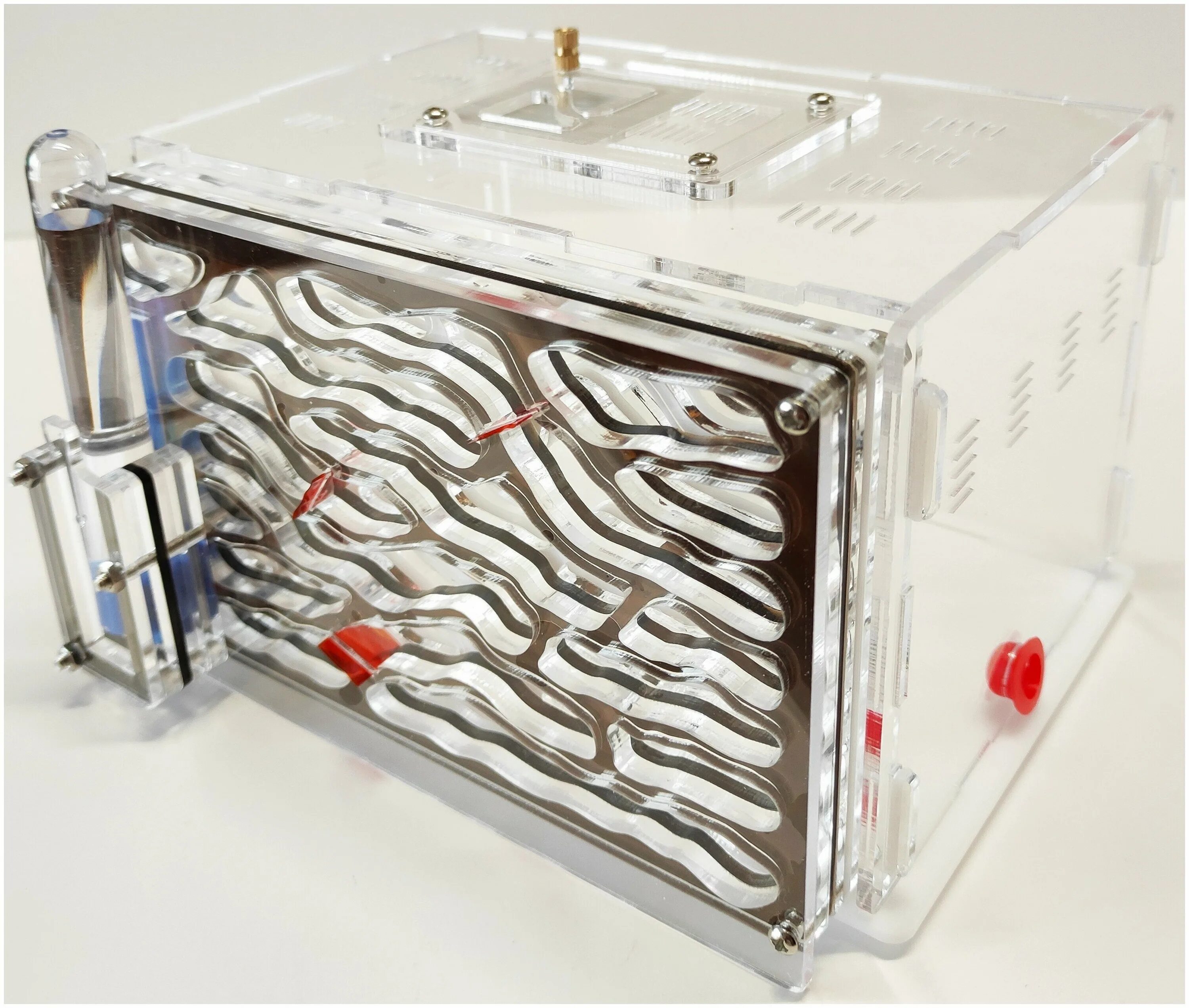 Ant city. Померин хаус муравьиная ферма май антс. Муравьиная ферма ant tower ant nest b1 antlife. Ант сити муравьиная ферма. Ant city.