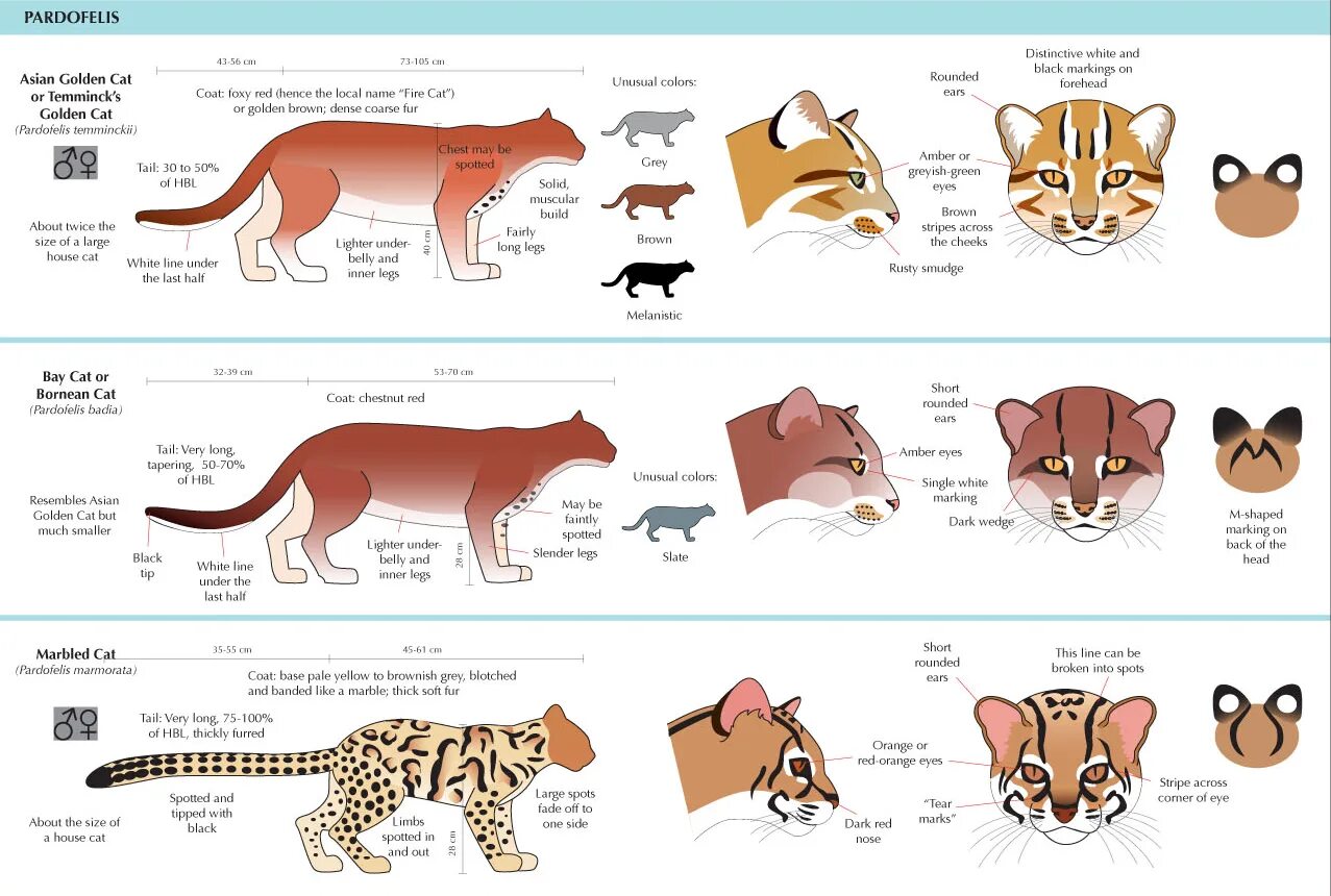 Guide to