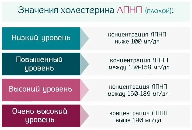 Холестерин лпнп 3 3. Холестерин ЛПНП по Фридвальду норма у мужчин. Повышенный холестерин-ЛПНП (по Фридвальду). Повышение уровня ЛПНП причина. ЛПНП по Фридвальду норма.