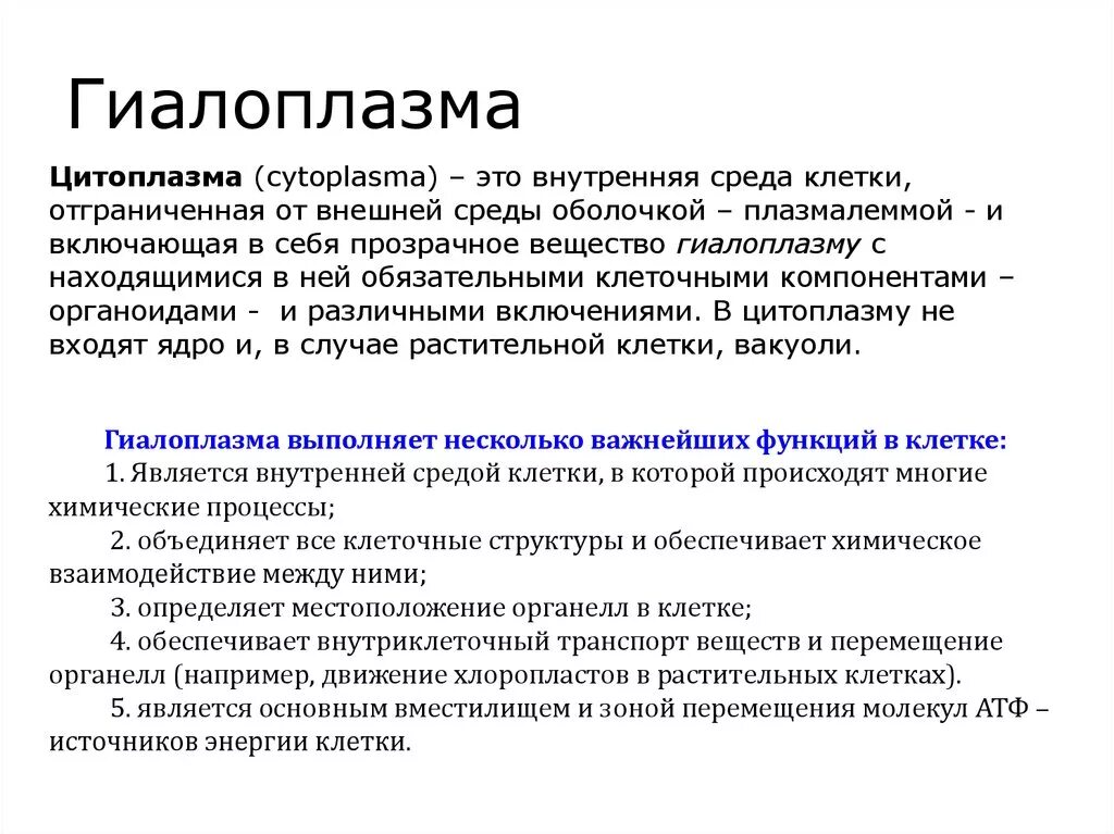 Характеристика цитоплазмы. Гиалоплазма свойства и состав и функции. Цитоплазма гиалоплазма строение и функции. Строение и функции гиалоплазмы. Гиалоплазма особенности строения.