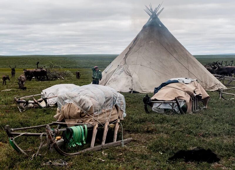 Жилище эвенков красноярского края. Эвенки жилище. Бронеколпак чум. Чум 5. Бронеколпак бк-1.