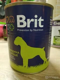 Brit dogs