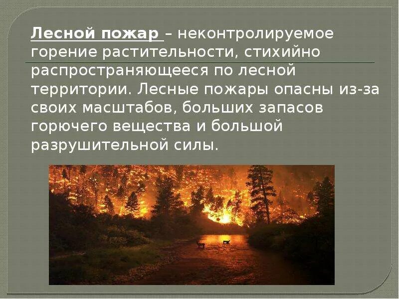 Природные пожары презентация. Презентация по теме Лесные пожары. Презентация на тему природные Лесные пожары. Лесной пожар это определение. Природный пожар определение