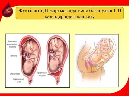 Жұлдыздармен порно