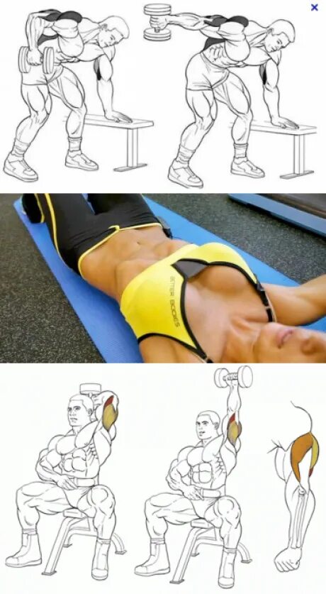 Упражнения на бицепс дома без инвентаря. Упражнения с гантелями на бицепс и трицепс. Как быстро начать руки. Как правильно качать руки гантелями для женщин. Сгибания зоттмана предплечья.