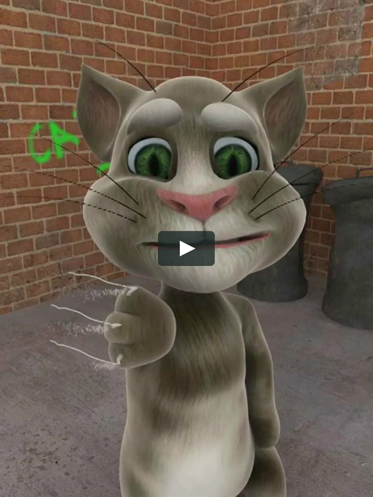 Играть игру говорящий кот. Talking Tom. Talking Tom Cat 1.1. Игра talking Tom Cat (2010).