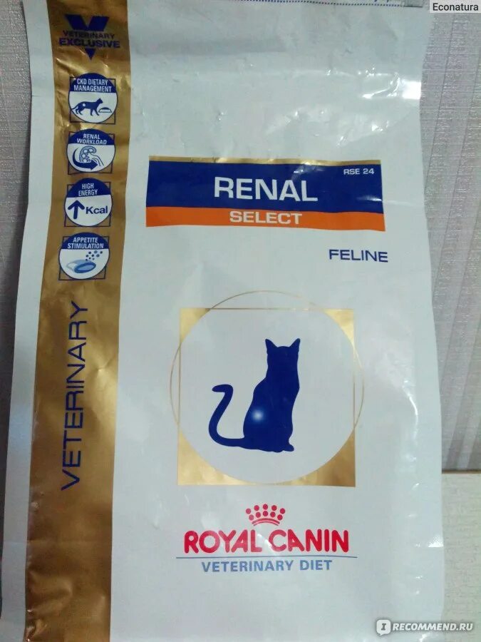 Renal canin renal для кошек купить. Роял Канин Ренал Селект. Royal Canin Ренал Селект для кошек. Сухой корм для кошек Royal Canin renal select. Роял Канин Ренал для кошек сухой.