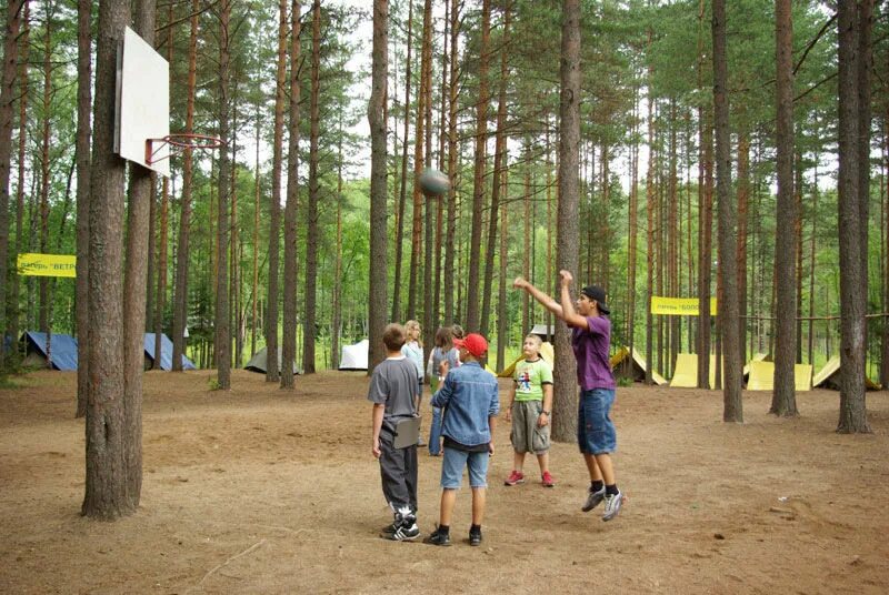 Детский лагерь новгородская область. Валдай лагерь Робинзонада. Лагерь Робинзонада Новгородская область. Еврокемпинг Валдайская Робинзонада. Спортивный лагерь Валдай Робинзонада.