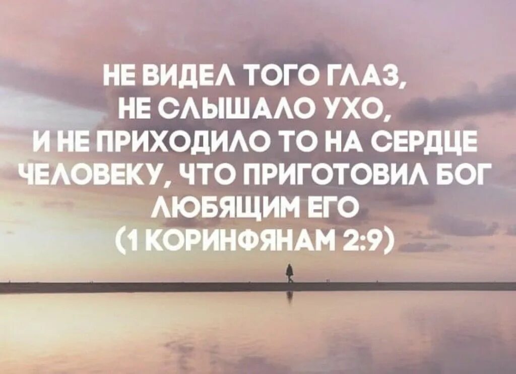 Книга любящей бога