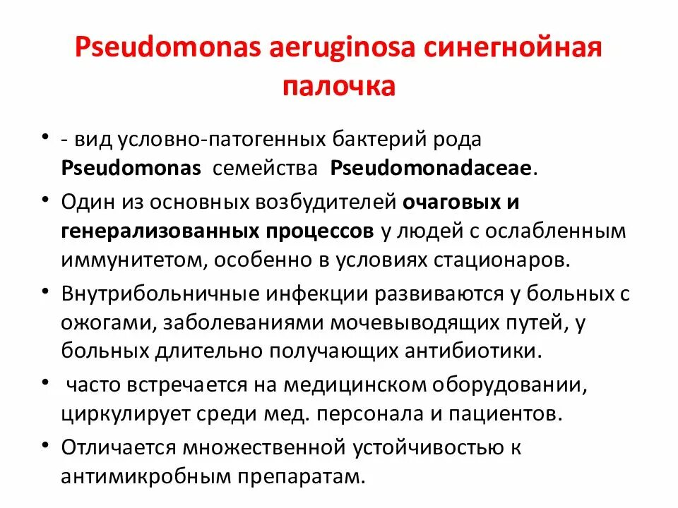 Синегнойная палочка заболевания. Профилактика синегнойной палочки. Патогенез синегнойной палочки. Синегнойная палочка внутрибольничная инфекция.