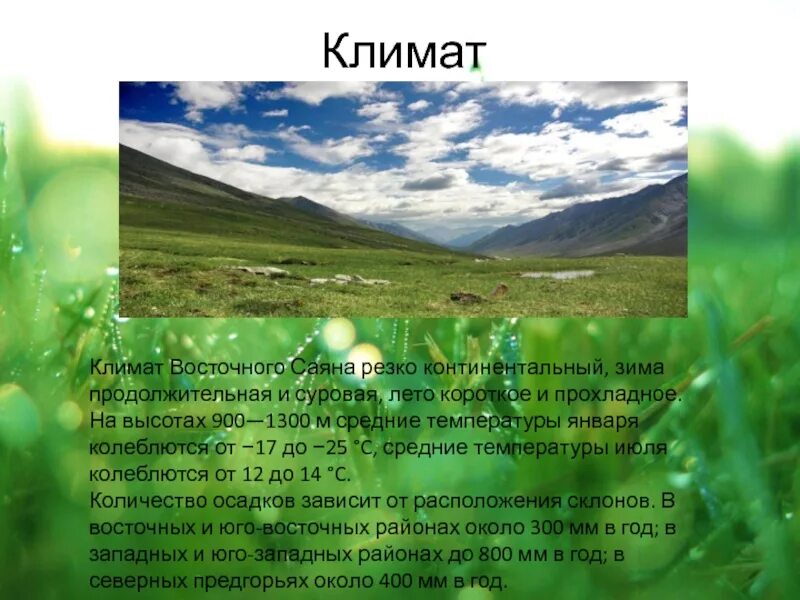 Саяны сообщение 4 класс окружающий мир. Климатические пояса гора саяны. климат восточного саяна. сообщение о горе саяны кратко для 4 класса. презентация на тему саяны.