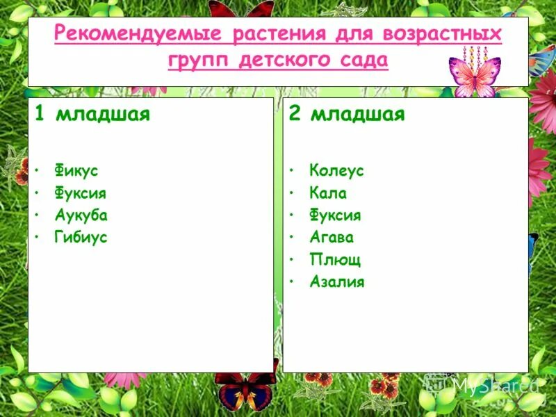 комнатные растения для детей. комнатные растения средняя группа. комнатные растения в средней группе детского сада. комнатные цветы в детсаду. комнатные цветы в детсаду.