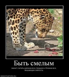 Как не бояться быть смелым