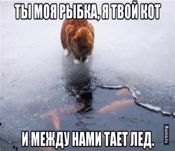 Такие шутки льды нередко вышучивают над неосторожными. Шутки про лед. между нами тает лед мемы. прикол про таяние снега. смешные картинки роо лед.
