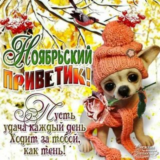 С новым ноябрьским днем картинки с пожеланиями