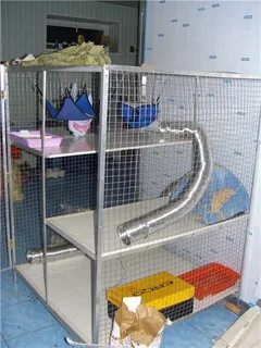 Клетка форум
