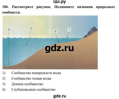 Подпишите названия природных сообществ