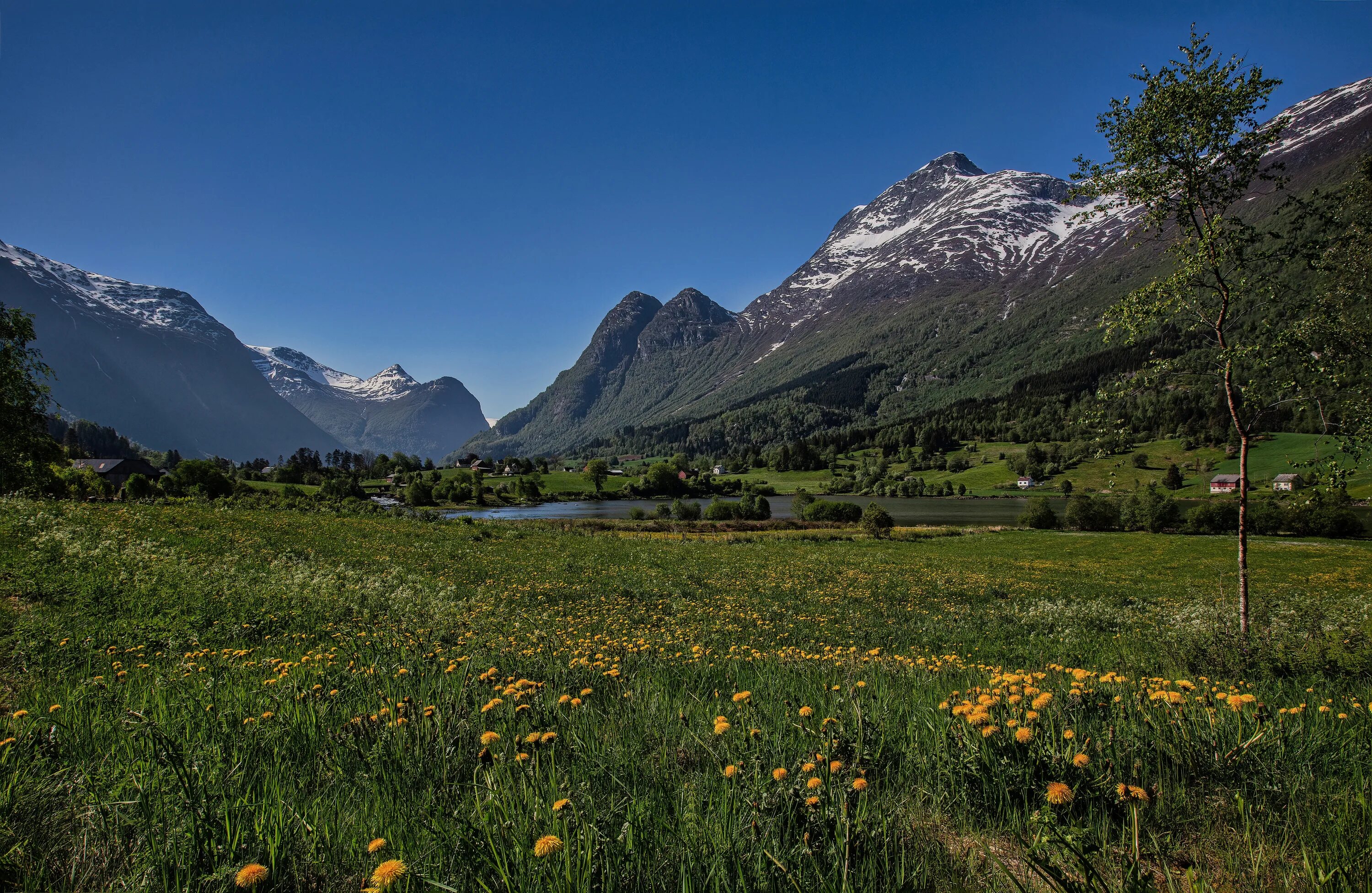 Вновь за гор. Альпийские Луга Норвегии. Луга в Норвегии горы. Olden Норвегия. Горы летом.