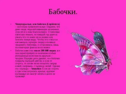 Все о бабочках
