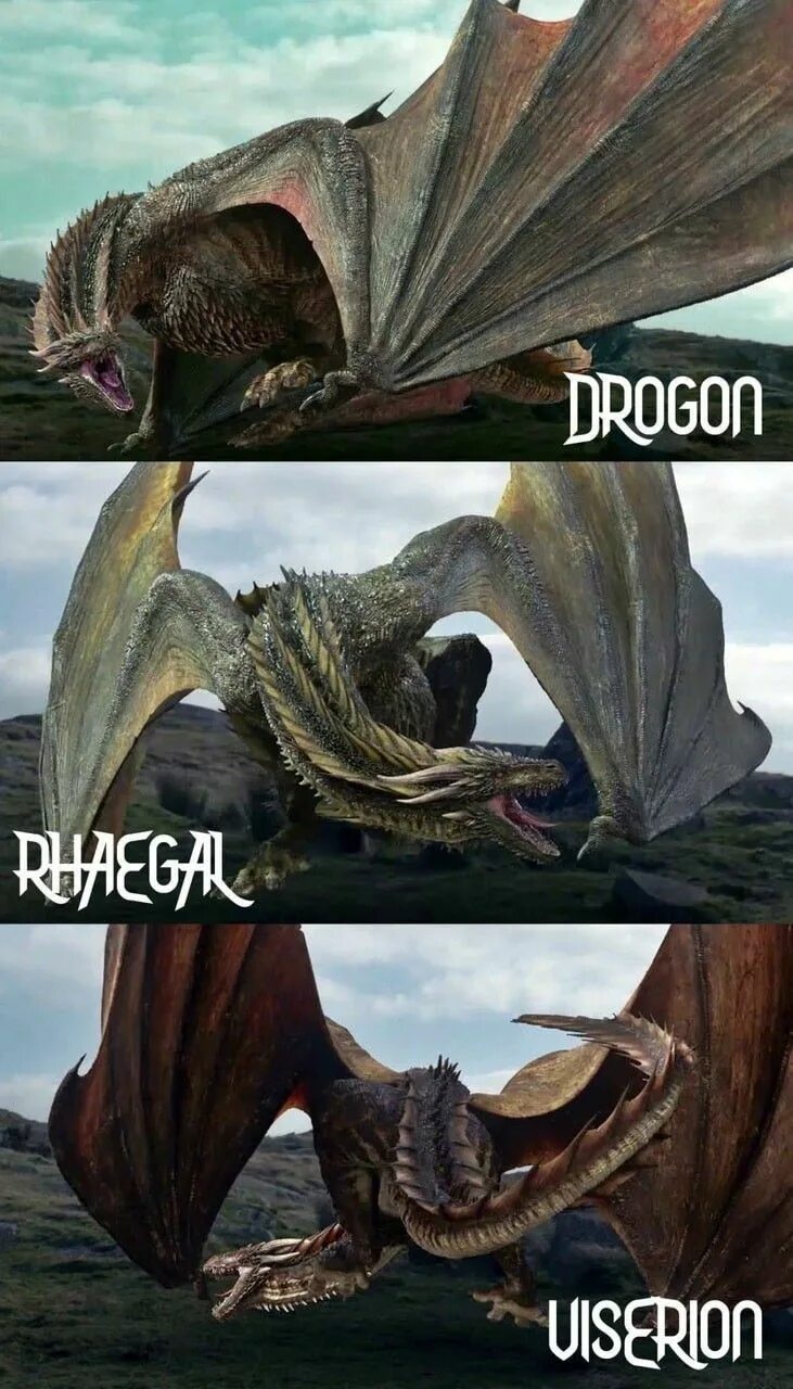 Как звали драконов в игре. Дракон Визерион Рейегаль. Визерион Дрогон и Рейгаль.