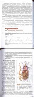 Книга по биологии 7 класс читать