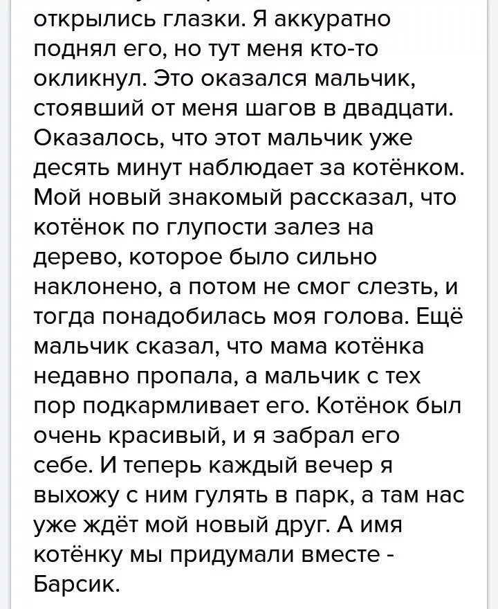 Сочинение на тему мой кот 5 класс. Сочинение на тему мой котенок барсик. сочинение мой котенок. сочинение на тему котенок. сочинение на тему мой кот барсик.