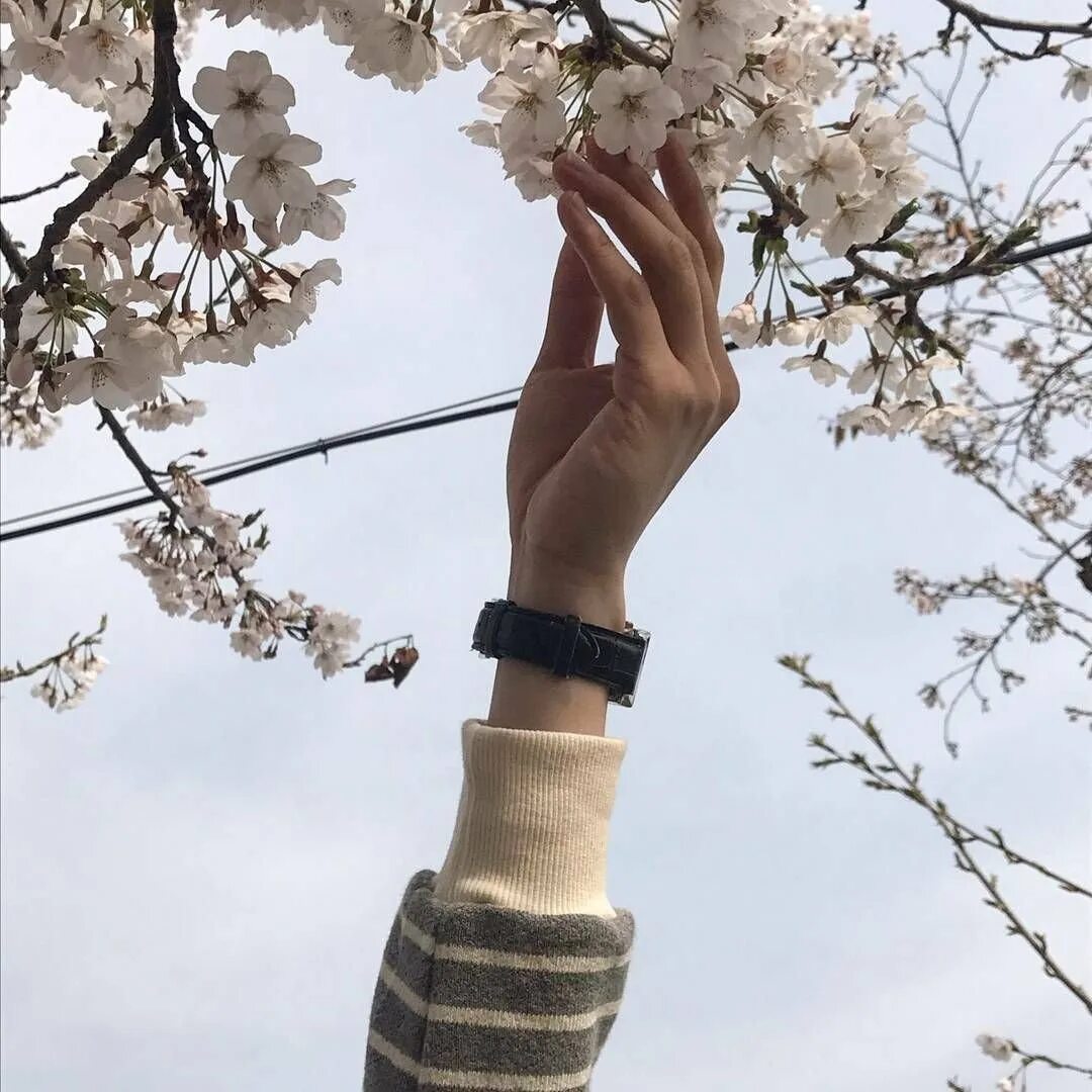 Гармония человека и природы. Нежность эстетика. Зеленое растение в руках. Весенняя эстетика. Руки весной.