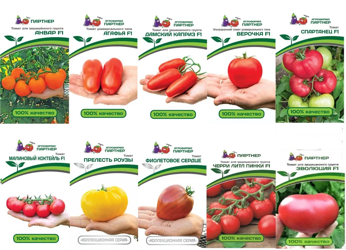 томат f 1 прелесть. томаты прелесть отзывы. партнер томат прелесть роузы. семена партнер прелесть роузы. томат прелестная роза.