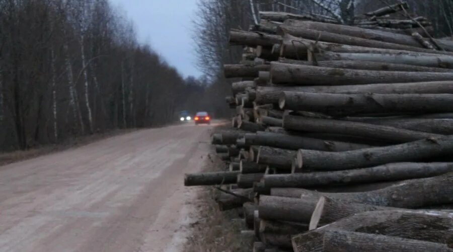 Dump logs