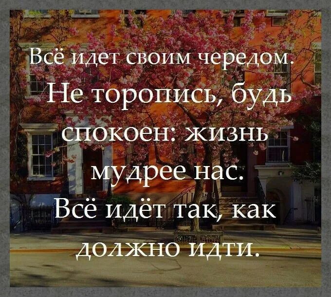 Всё идёт своим чередом не торопись будь спокоен. Жизнь идёт своим чередом. Цитата все идет своим чередом. Всё идёт своим чередом цитаты.