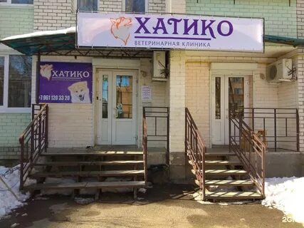 Ветклиники калуга отзывы