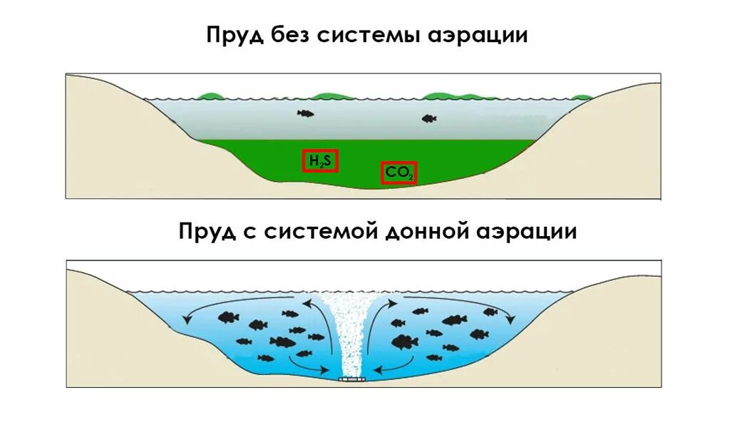 Донная аэрация пруда. Естественный аэратор для водоема. Аэрация искусственного прудика. Насыщение кислородом пруда. Движение воды в озерах