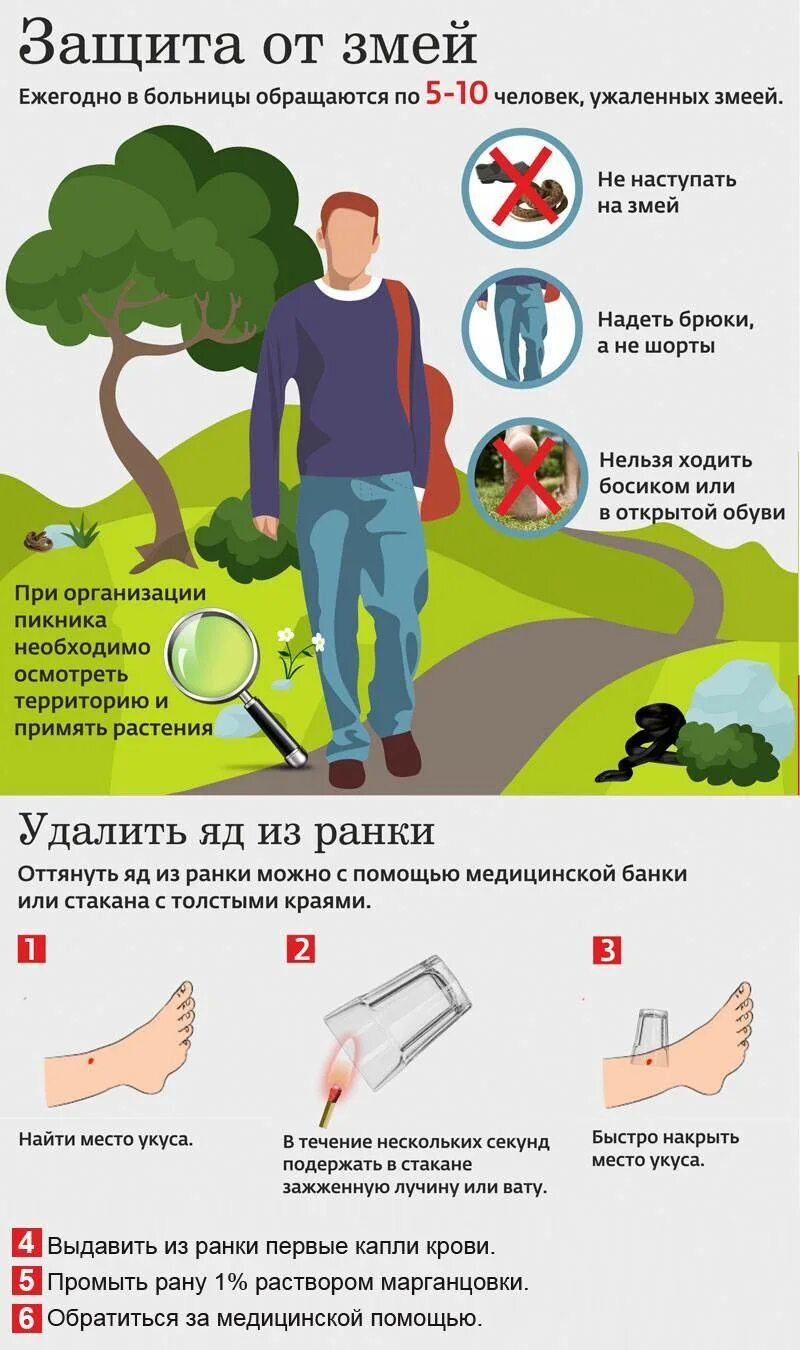 Как не допустить укуса гадюки. Оказание первой помощи при укусах ядовитых змей. при оказании первой помощи при укусе змеи необходимо. меры первой медицинской помощи при укусах ядовитых змей. первваяпомощь при укусезмее.