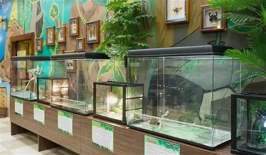 Зоопарк набережные. Зоопарк набережные челны. контактный зоопарк набережные челны. зоопарк в набережных челнах фото. трогательный зоопарк в омеге набережные челны на 1 этаже.