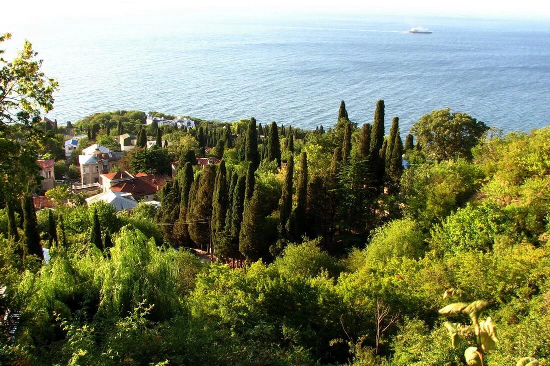 Города юбк. Южный берег Крыма Алупка. ЮБК Алупка. Крым Алупка море. Черное море Алупка.