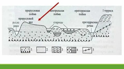 Не пойму или не пойму