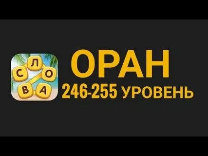 255 246