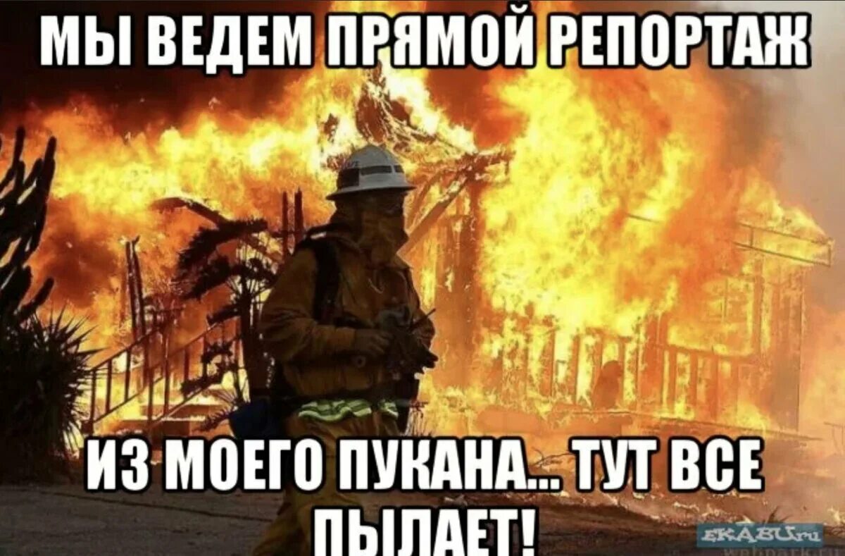 Будем лететь будем сгорать. Будем лететь будем сгорать