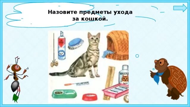 Предметы для ухода за кошкой. Предметы ухода за кошкой. Предметы для ухода за животными живого уголка. Предметы для ухаживания за животными живого уголка. Предметы за уходом за кошкой.