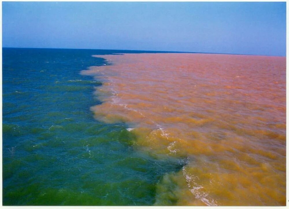 желтое море впадает