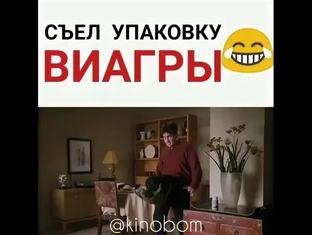 Что будет если съесть виагру. Наелся виагры. Виагра и алкоголь. Правила приёма виагры. Что будет если съесть виагру.