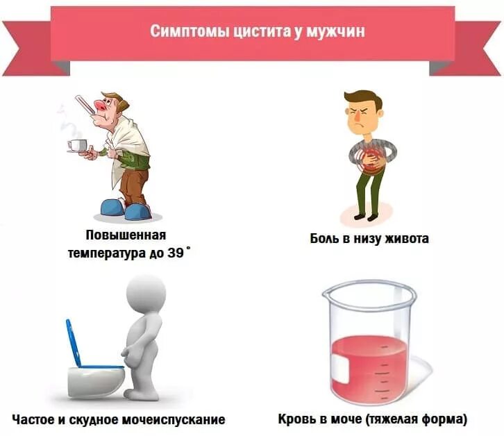 Цистит у мужчин симптомы и лечение