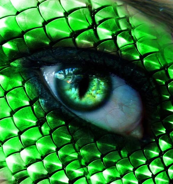 Snake Drawings Book Illustration Images :: Photos, videos, logos, illustrations 