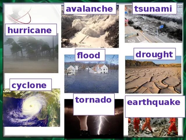 Fill in avalanche tornado pollution endangered