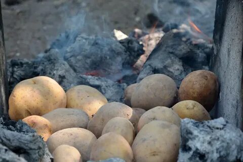 Сколько времени печется картошка в углях