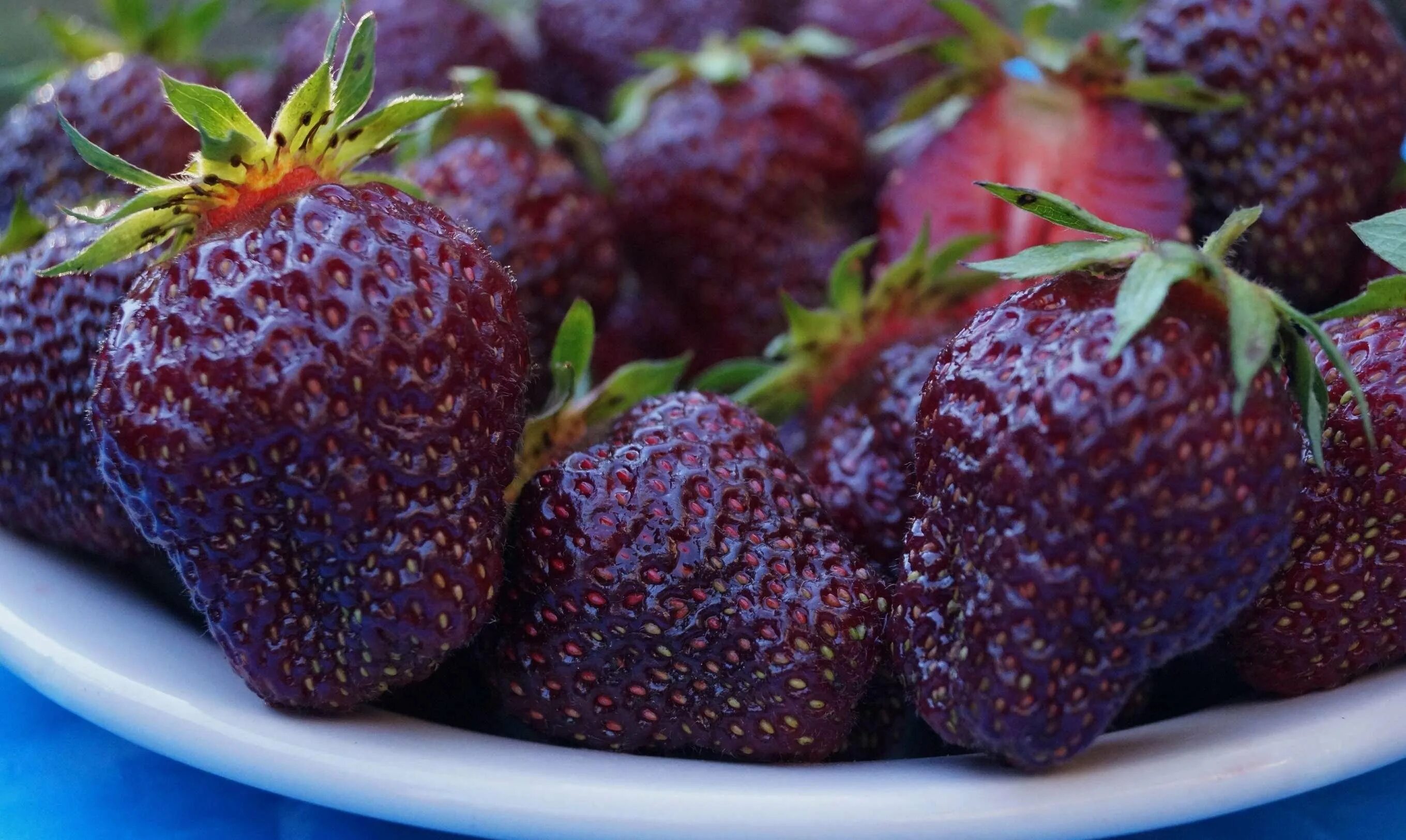 Сорт клубники бордового цвета. Ремонтантная клубника черный принц. сорт виктории черный принц. сорт клубники черный принц. земляника крупноплодная черный принц.