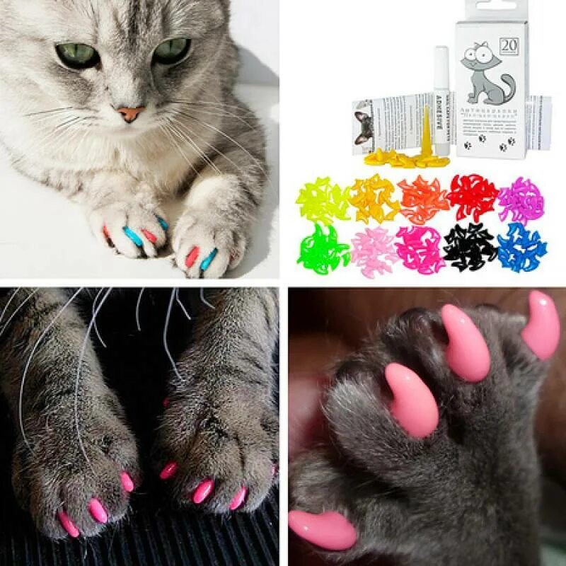 Кошка на ногтях. Накладки на когти для котов. Накладки на ногти для кошек. На когти кошке колпачки силиконовые.