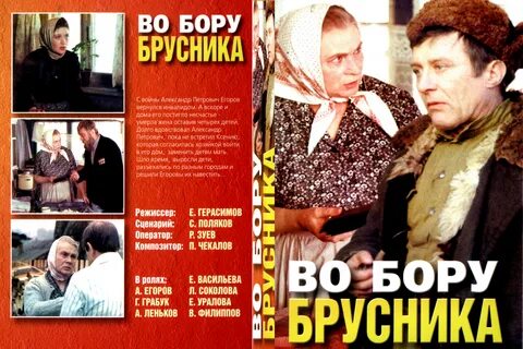 Во бору брусника книга