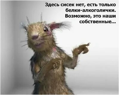Подожди это не то