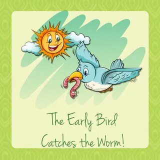 Catch bird